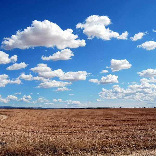 Monsieur Francis JOUSSEAUME